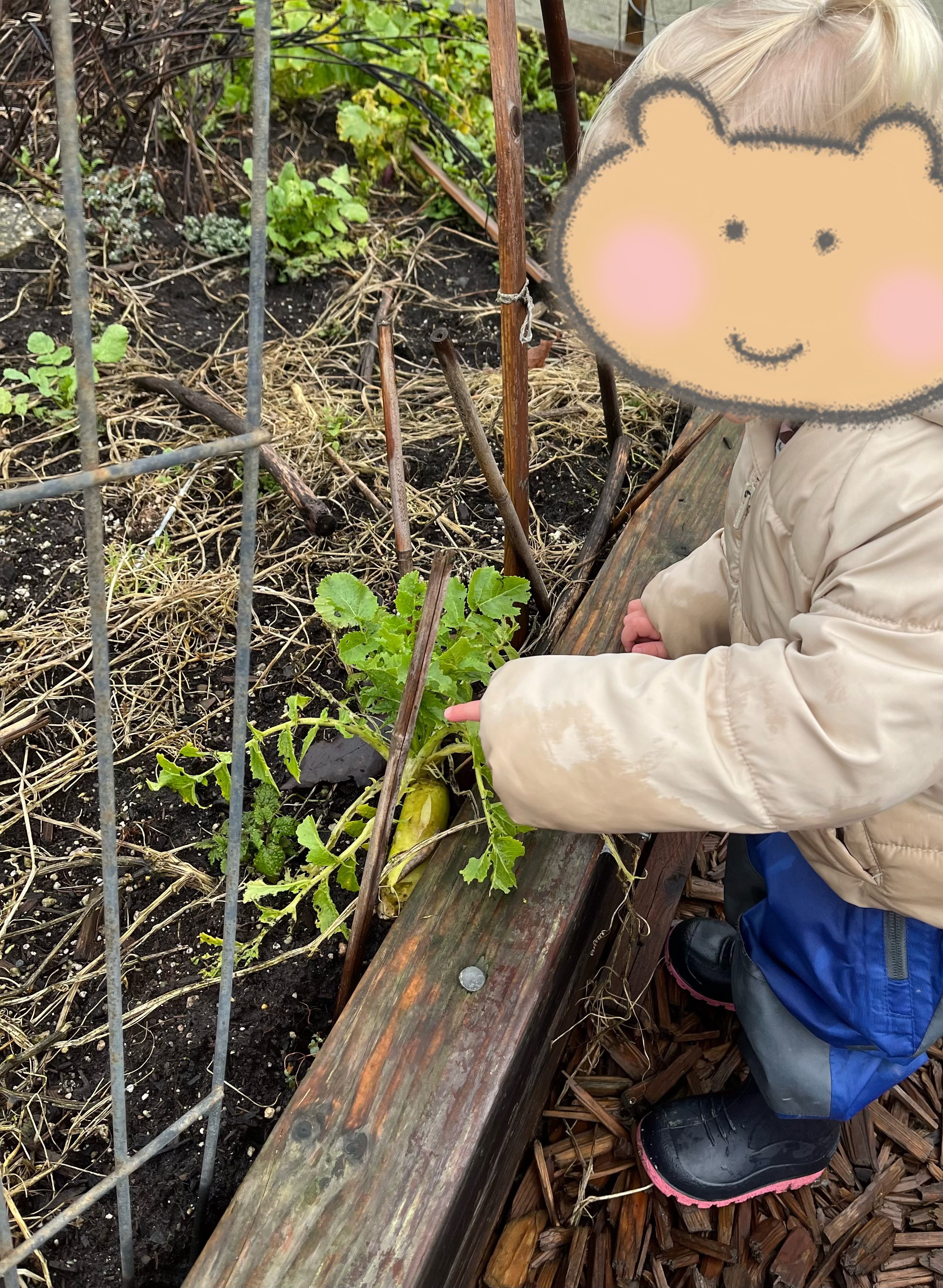 Children having fun and learning through play at Forest Cubs Childcare